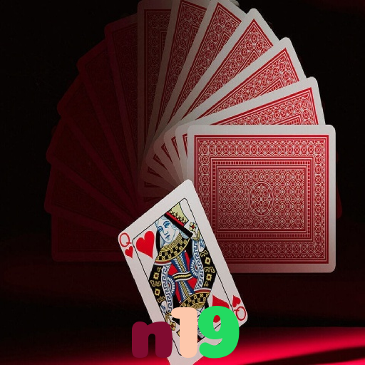 n19